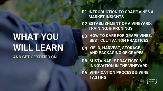Viticulture and Wine Production