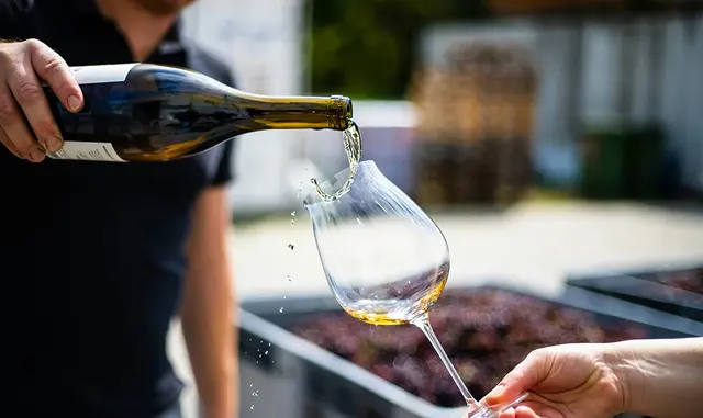 Wine and Beverage Professional Certification