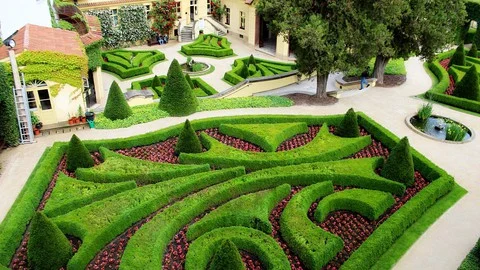 Landscape Design and Garden Planning