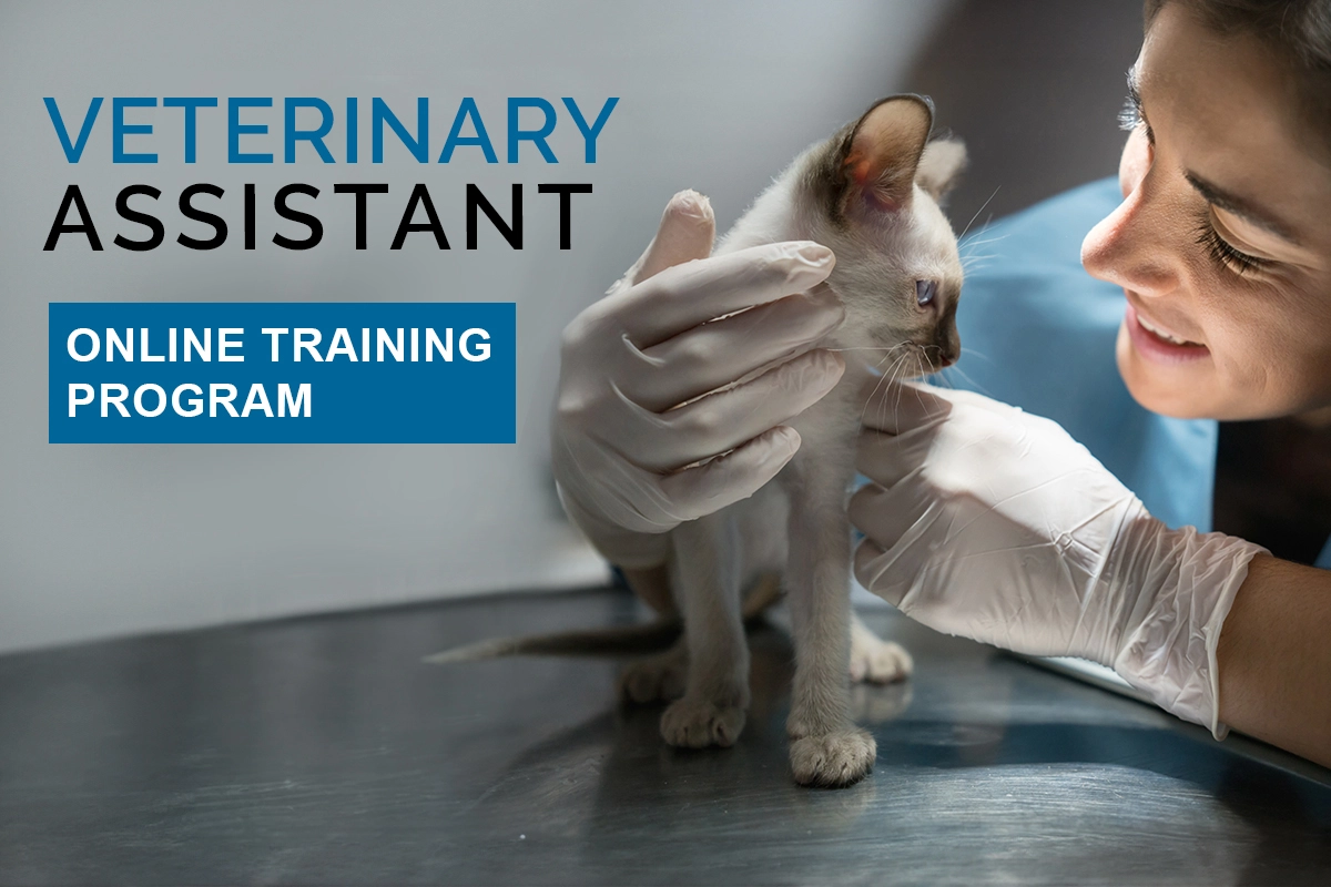 Veterinary Assistant Complete Training